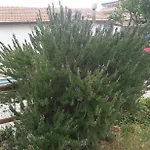 La Casetta Di Anna